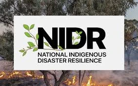 NIDR Logo