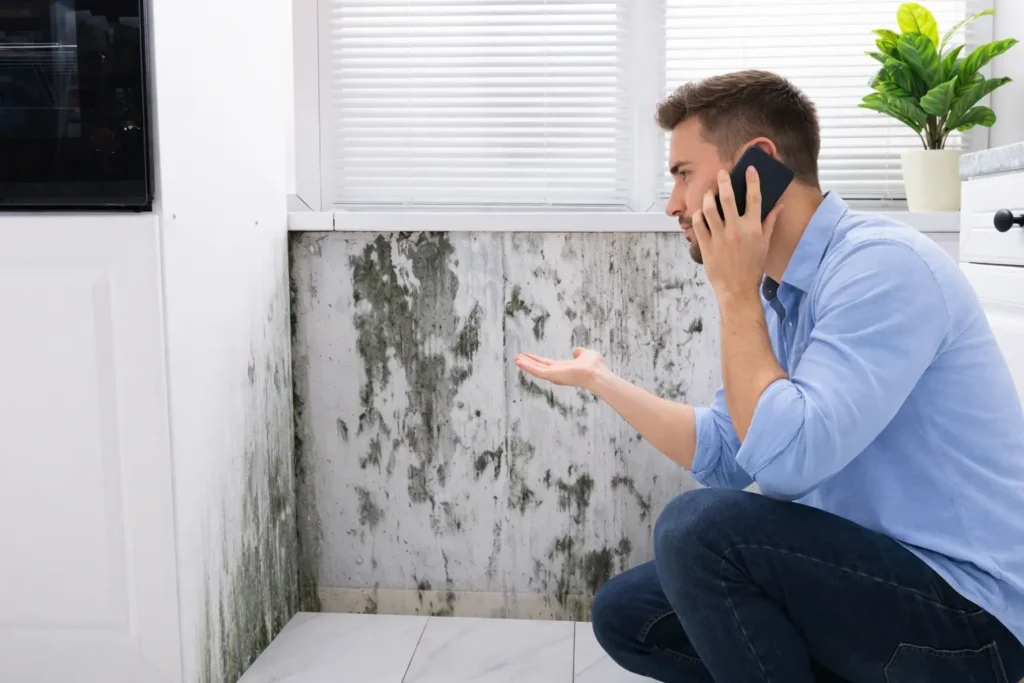 Preventing mold after water damage in home