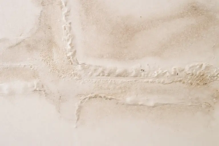 mold growth inside wall after untreated water damage
