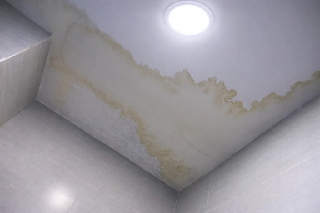Roof leak damage Frisco TX
