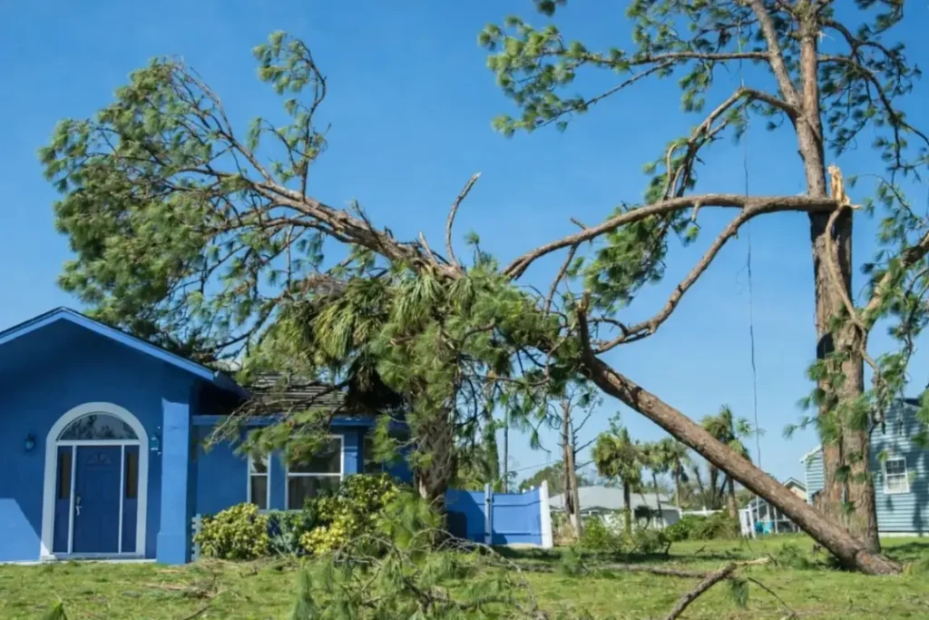 hurricane flooding damaging residential homes