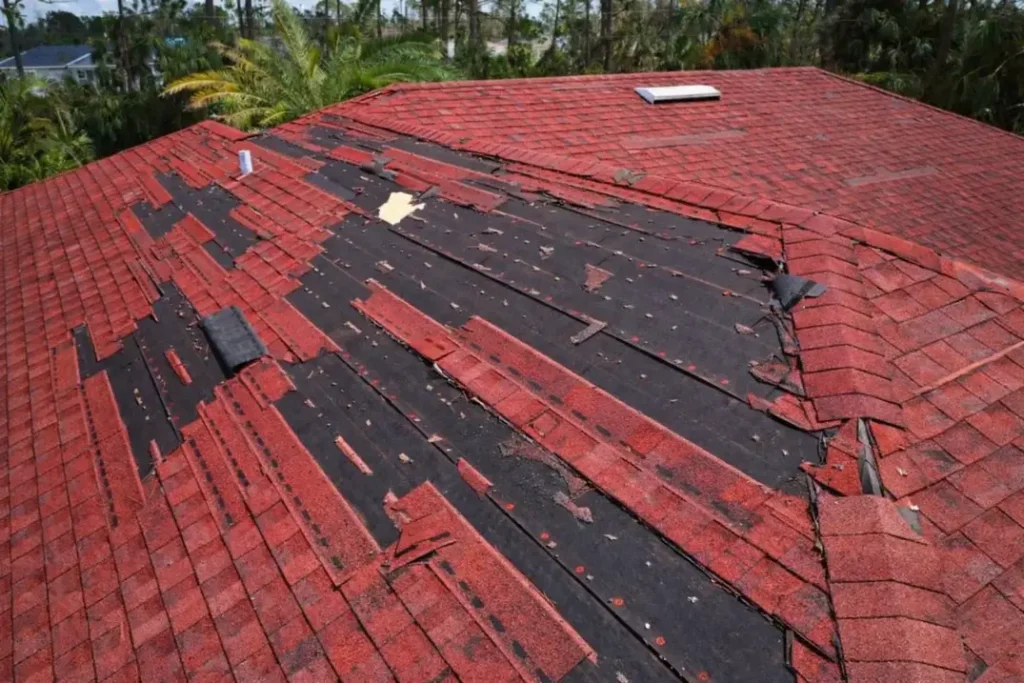 homeowners inspecting flood damage after hurricane