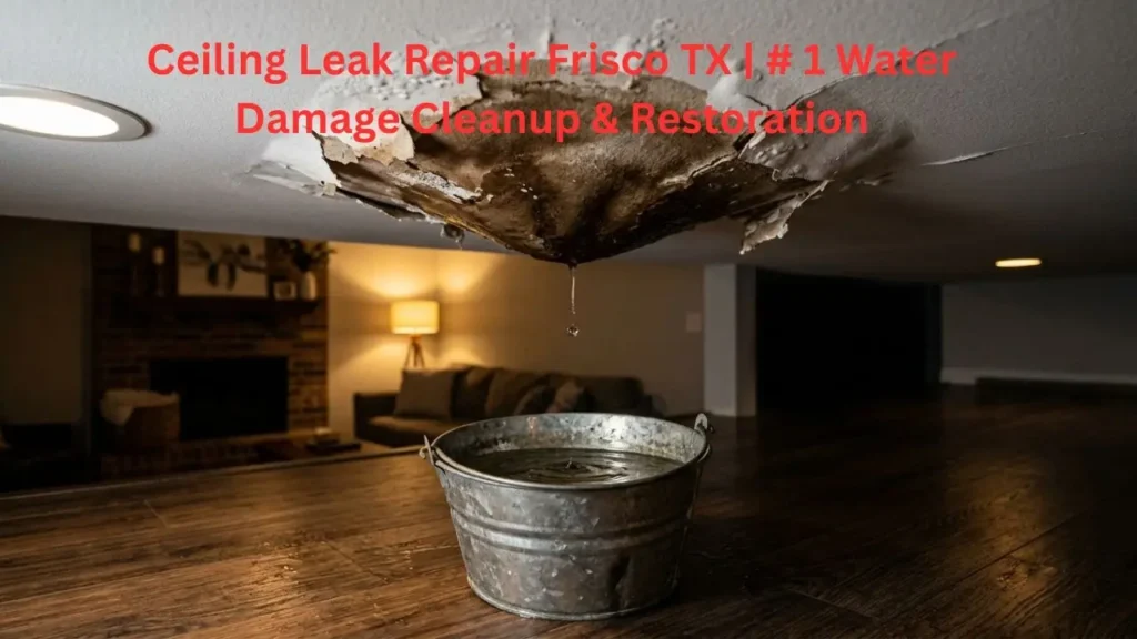 Ceiling Leak Repair Frisco TX