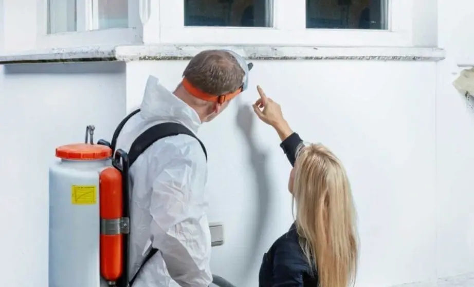 Mold Remediation Near Me Frisco TX? Call Certified Experts