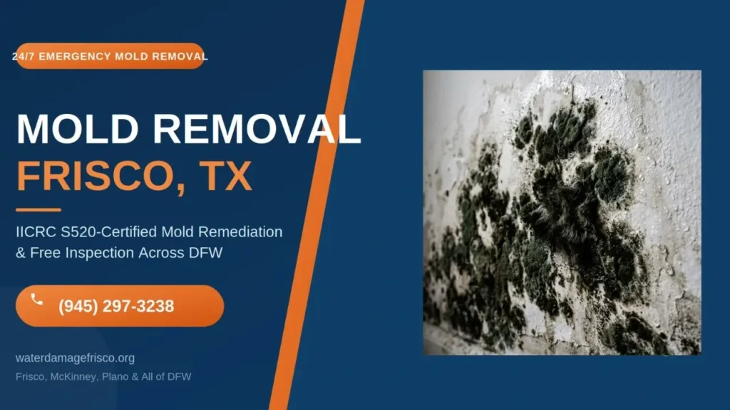 Mold Removal Frisco TX 247 Certified Mold Remediation