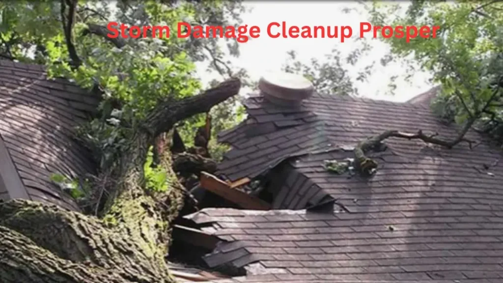 Storm Damage Cleanup Prosper