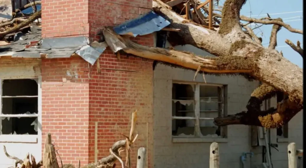 Storm Damage Restoration Contractors The Colony TX