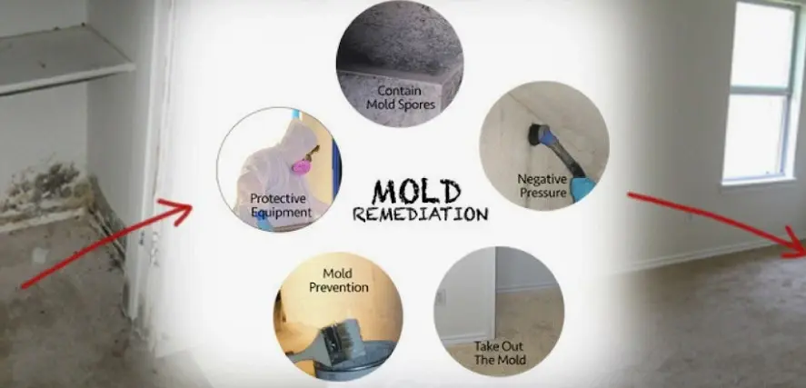 (945)297-3238 mold remediation Little Elm TX? IICRC S520 certified