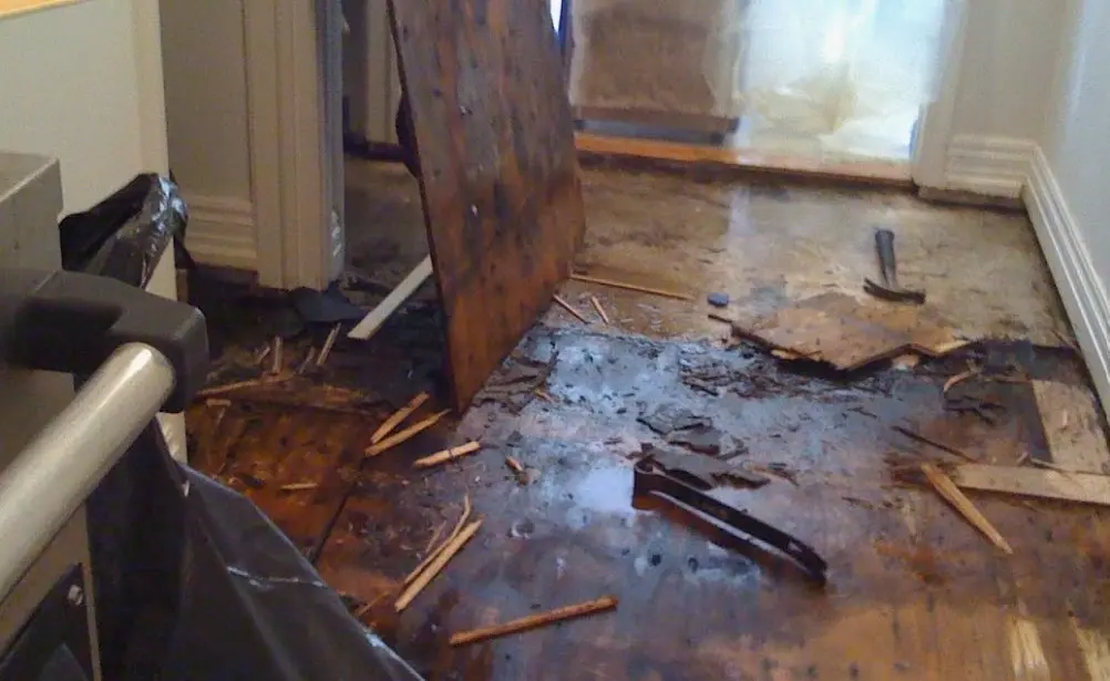 (945)297-3238 water damage restoration Carrollton TX? IICRC certified company