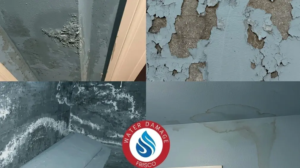 Call +1(945)297-3238 to find the best water restoration company near me serving Celina TX
