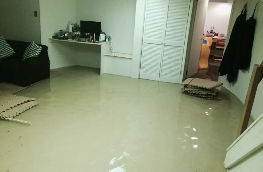 Flood Damage Restoration Near Me Frisco TX: IICRC Certified, 24/7