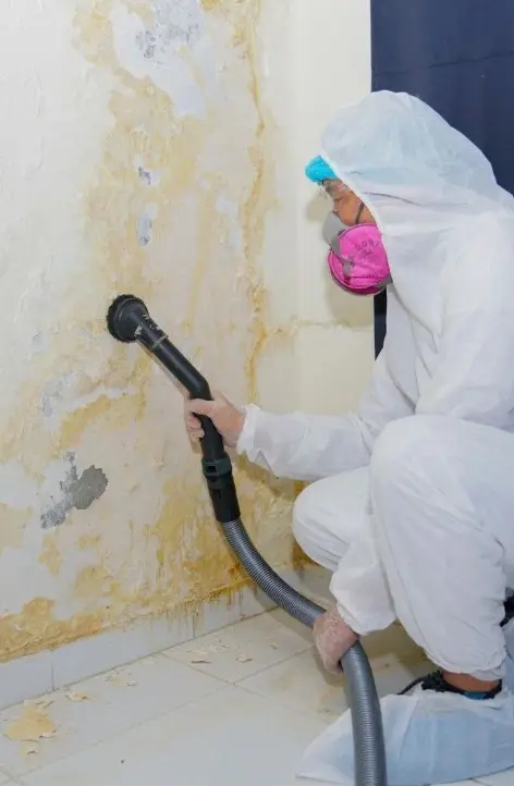 Mold Remediation Little Elm TX IICRC Certified Mold Removal 24-7
