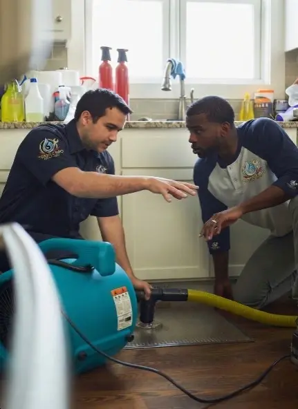 Water Mitigation Services in McKinney