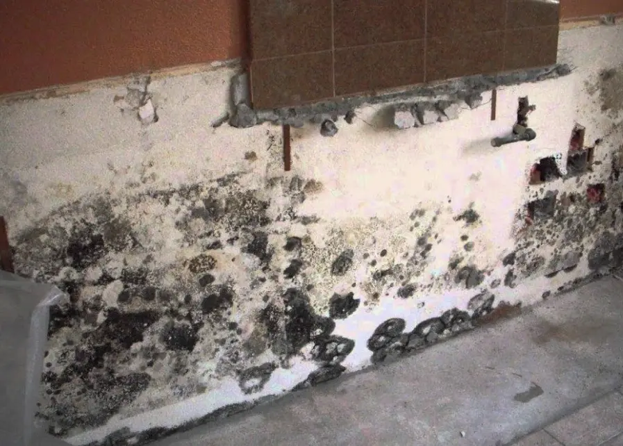 Mold Remediation Little Elm TX Mold remediation Little Elm TX — IICRC S520 certified mold removal company, mold inspection, containment, HEPA removal and clearance testing serving Little Elm TX and all DFW North Texas