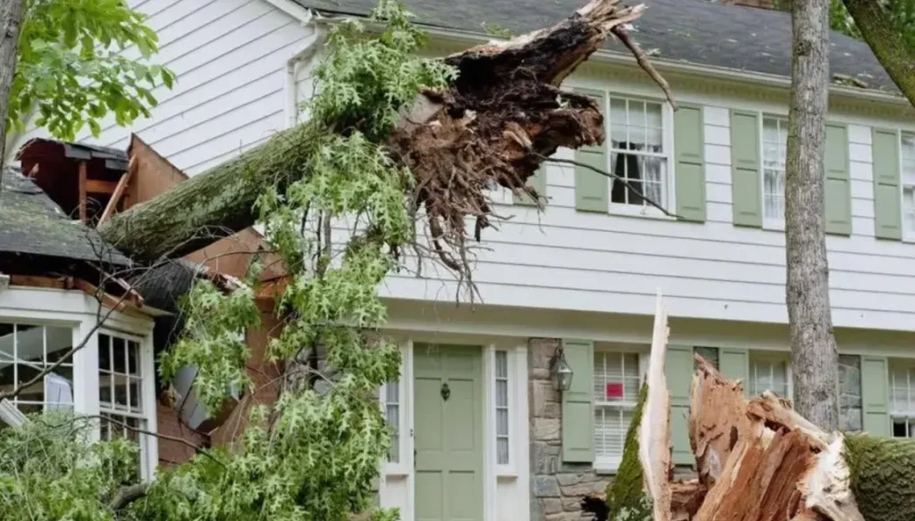 storm damage restoration frisco tx