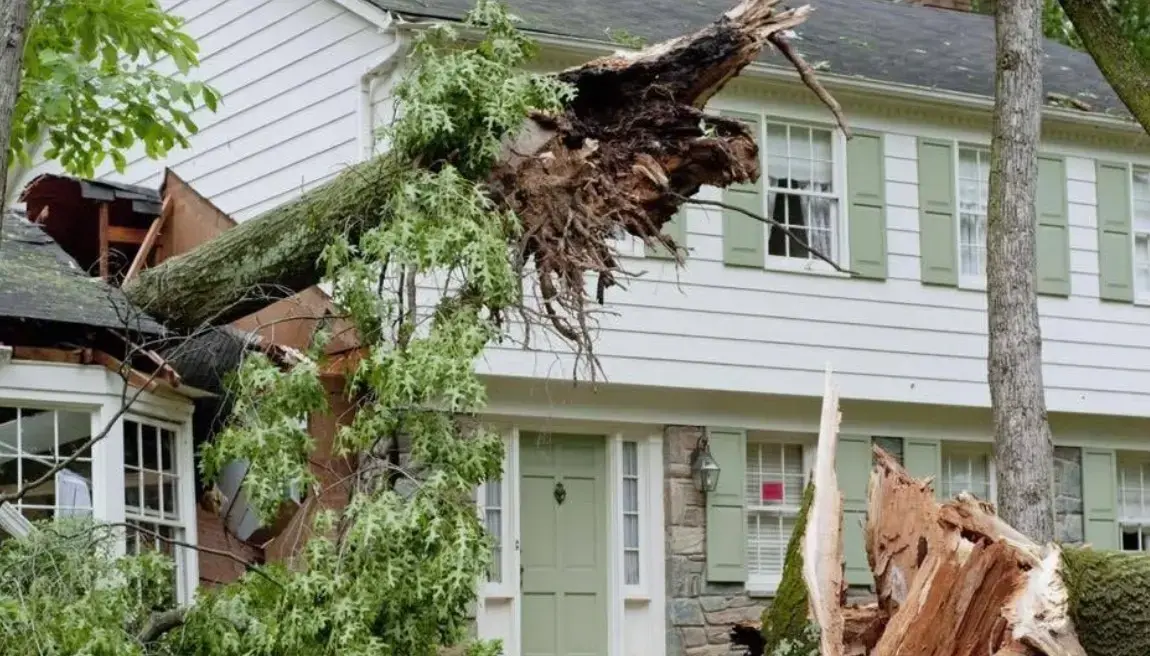 Storm Damage Restoration Frisco TX — Water Damage Frisco IICRC Certified Team