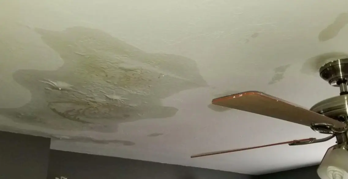 Water Bubble on Wall and Ceiling Frisco TX โ Water Damage Frisco IICRC Certified Team