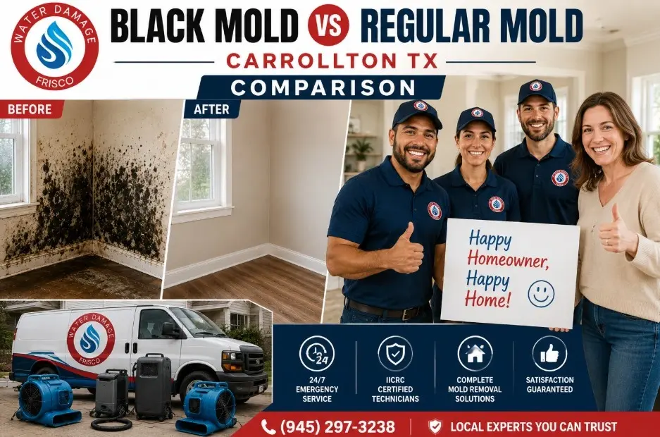 Comparison of black mold and regular mold growth on a wall in a Carrollton, TX home