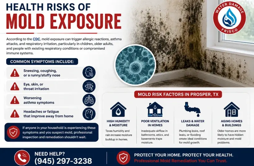 Health Risks of Mold Exposure