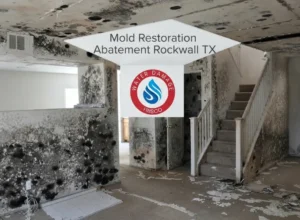 Mold Restoration Abatement Rockwall TX