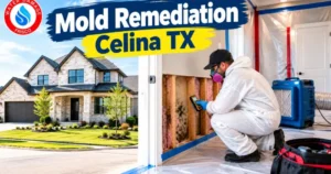 Mold remediation Celina TX