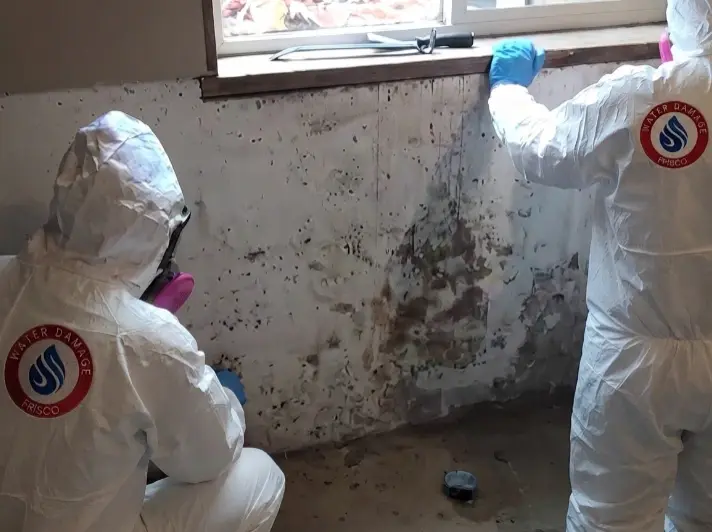 Mold restoration abatement Rockwall TX Call (945) 297-3238.