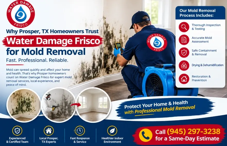 Prosper TX Homeowners Trust Water Damage Frisco for Mold Removal
