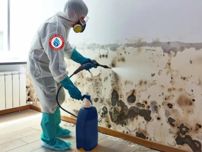 Texas Licensing: Who Can Legally Perform Mold Abatement