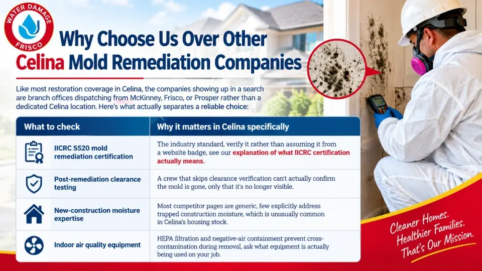 Why Choose Us Over Other Celina Mold Remediation Companies