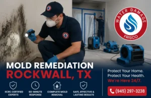 mold remediation rockwall tx